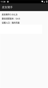 Ƥ������app����