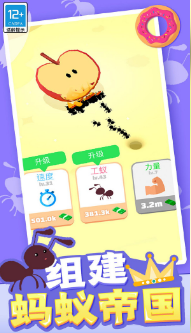 С�ϵ۹�����