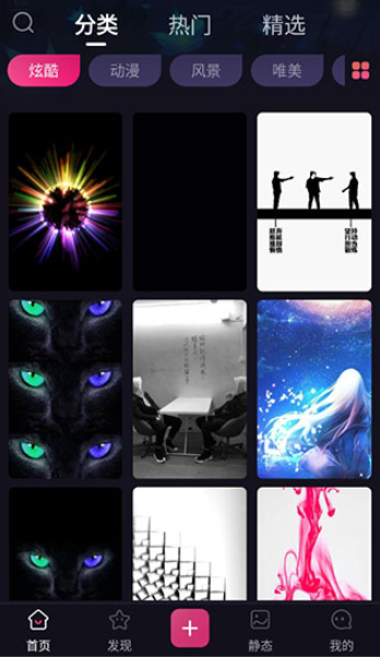 ���⶯̬��ֽapp�������°�