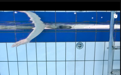 ��Ӿ��ѧ��Ƶapp�ֻ�������