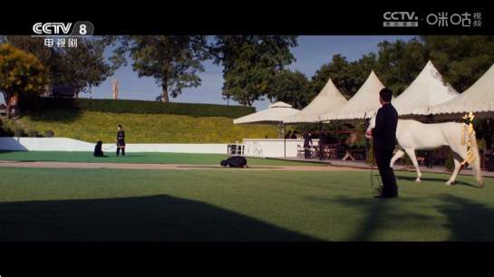 ����ʶֱ��2.0app���°�����