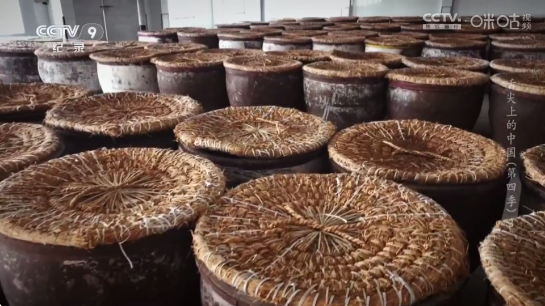 ����ʶֱ��2.0app���°�����