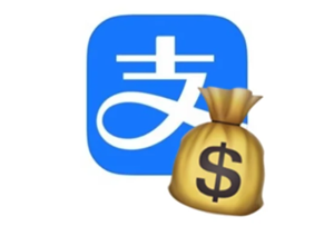 ֧������ҳ����ô�ָ������¼ ֧������ҳ��ָ������¼�̳�