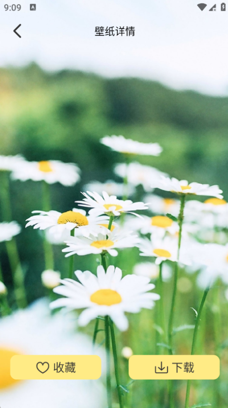 萌巨壁纸app下载 萌巨壁纸app下载