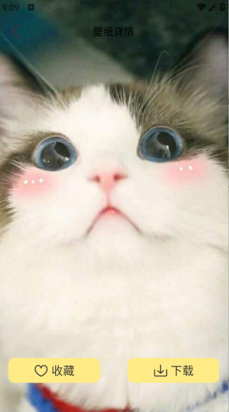 萌巨壁纸app下载 萌巨壁纸app下载