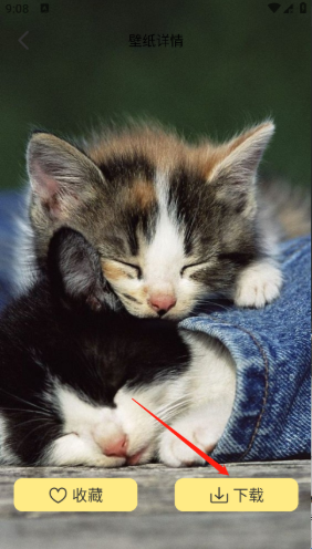 萌巨壁纸app下载 萌巨壁纸app下载