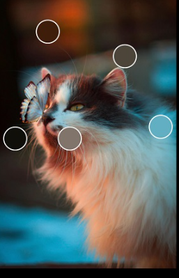 ɫ��app���ذ�װ��Ѱ�