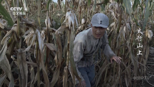 飞鱼电视app官方版 飞鱼电视app官方版