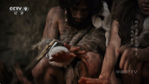 飞鱼电视app官方版 飞鱼电视app官方版