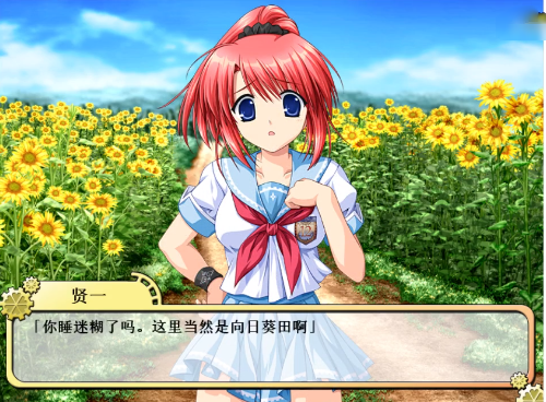 车轮之国向日葵的少女手游 车轮之国向日葵的少女手游