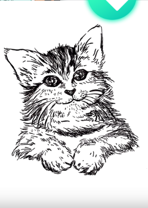 Elfinbook�׷�app���°�