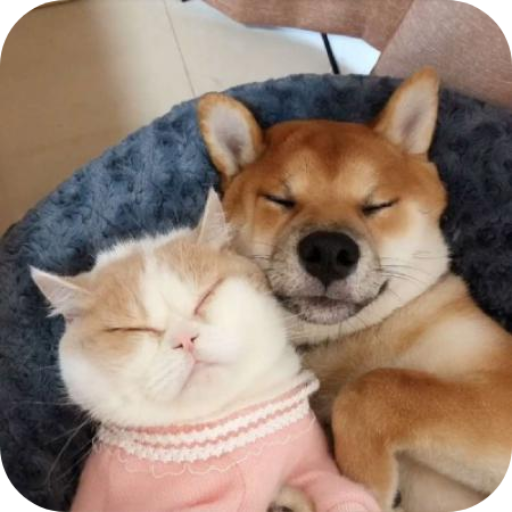 ��Ȥè��������app���°汾v1.2.8 ��Ѱ�