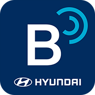 blueLink�������°汾���ذ�װv5.03 �ֻ���