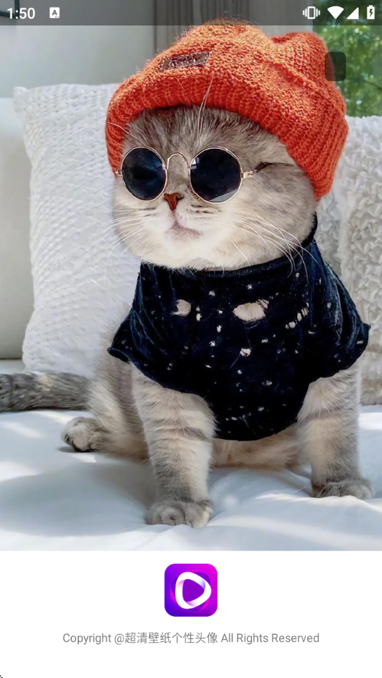 ��̬��ֽ�㳡���°汾v1.3.8 ��׿��