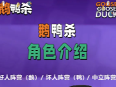 ��Ѽɱ��ɫ���� ��Ѽɱ��ɫһ����