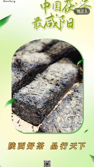 ������app�ٷ�����v4.5.2 ��׿��