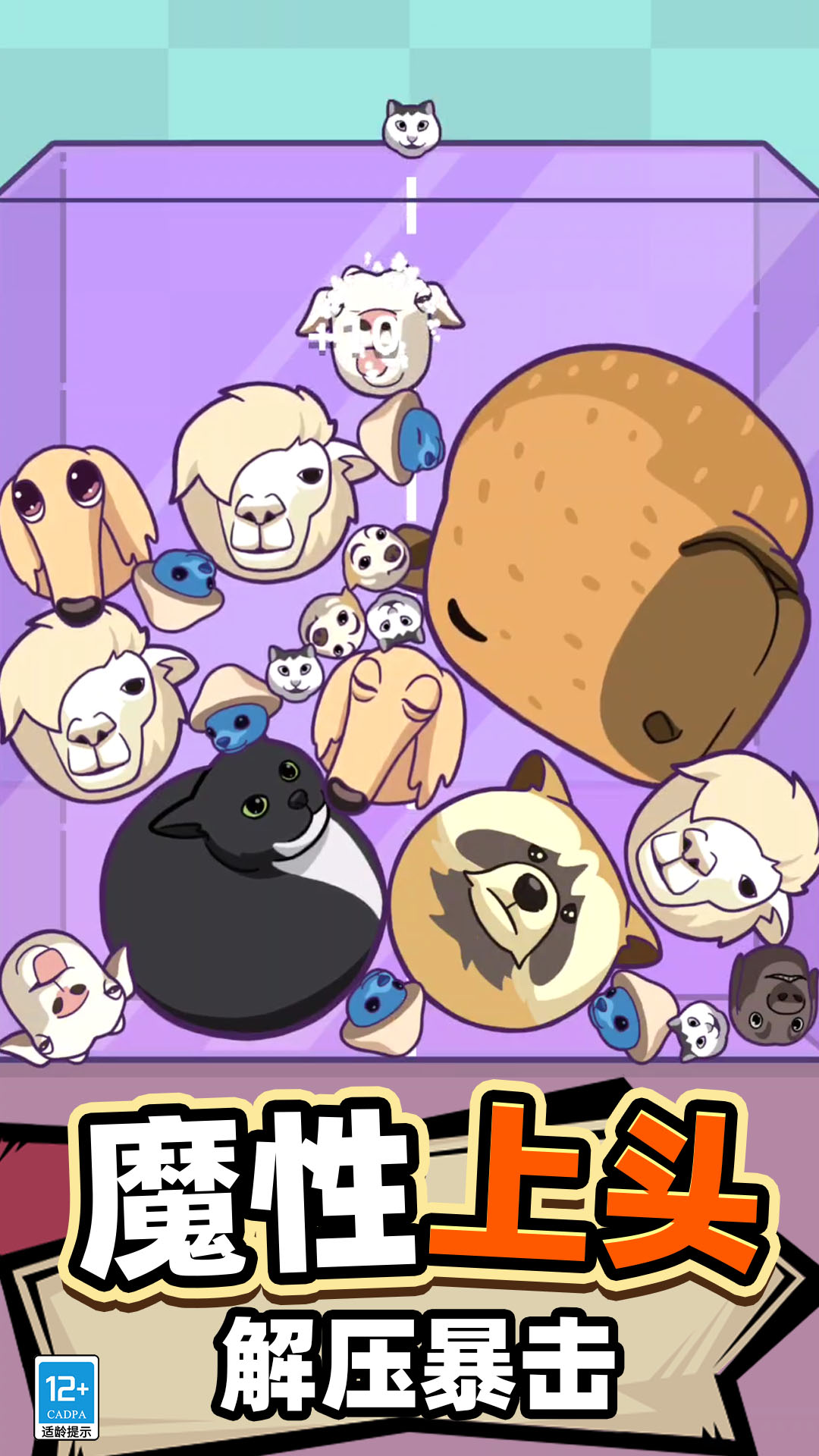 ��̫��ѹ�˰����ذ�װ���°汾v17.260107.140 �ٷ���