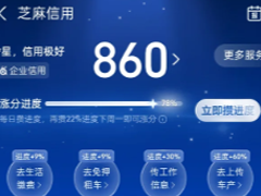 ֧����֥����������Ƕ��� ֧����֥��������ʲô��