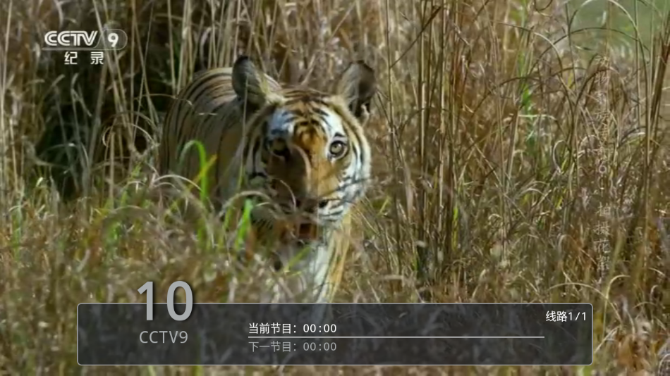 ���Ա�TV�������v6.3.3.7 ��׿��