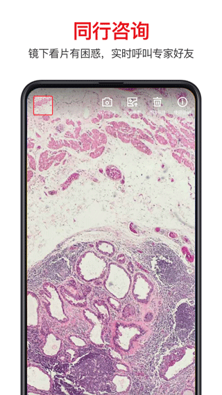 �������ٷ����ذ�׿��v3.6.12 ��Ѱ�