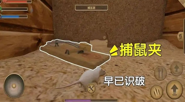 ����ģ�������°�