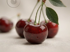 ӣ�ҿ�Ƭ������Դ���߹ۿ��Ƽ�