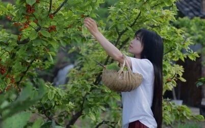 樱桃看片高清资源在线观看 多入口备用实测截图