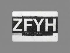 ZFYH Cam��������ͷʹ���������