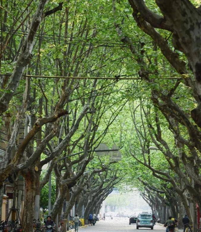 �Ի���ͩ�������Ϻ��������ʵ�Ľ־�����ͩ��