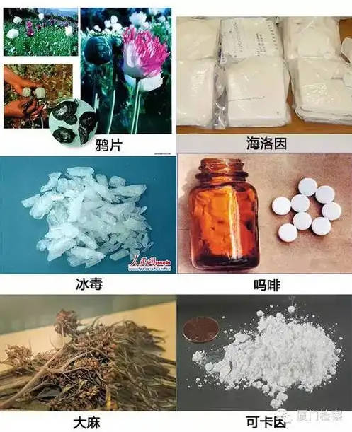�����ж�ȫ�����������Ʒ����������αװ��Ʒʶ�������ͼ