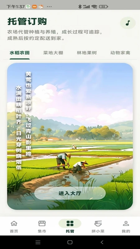��Ұ�Ƽ�2.0.6 �����������