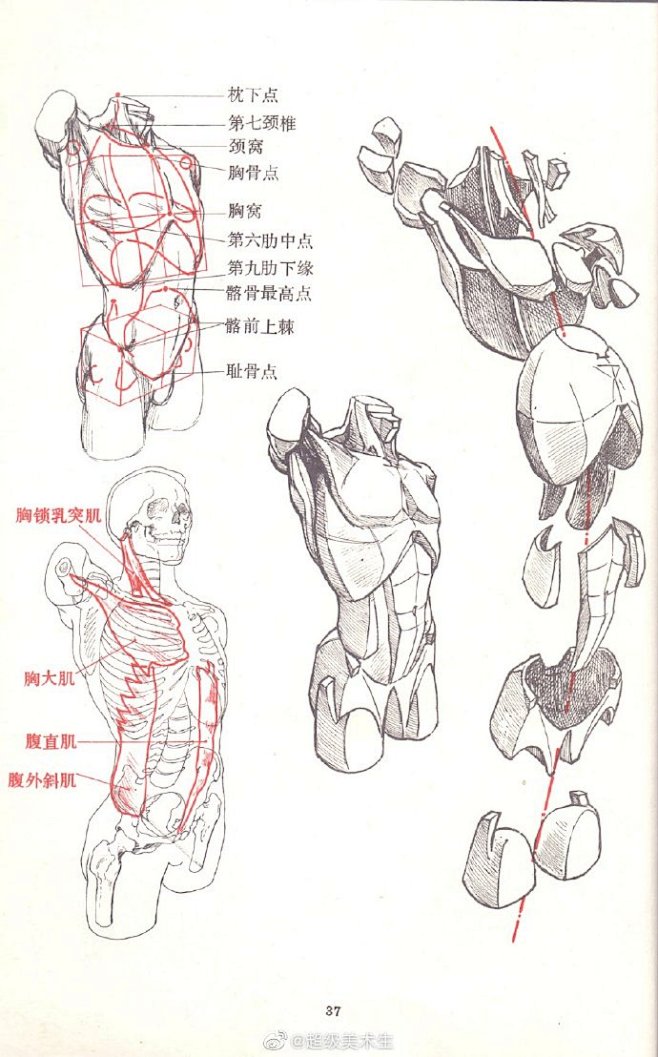 ���嶯�ɻ��������ֽ� �����ƶ���ϰ ��ͼ
