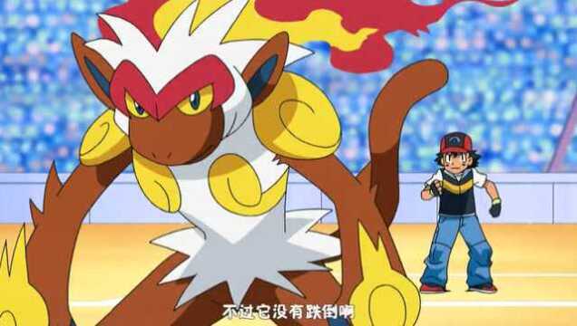 烈阳小智新手常见问题解答 烈阳小智操作技巧演示
