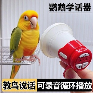 ������ѧ˵��¼�����������ͳ���ѵ������ ���������ıؿ�����