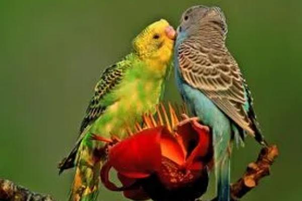 ������ѧ˵���ճ�ѵ�������ظ����� ���������ѵ����