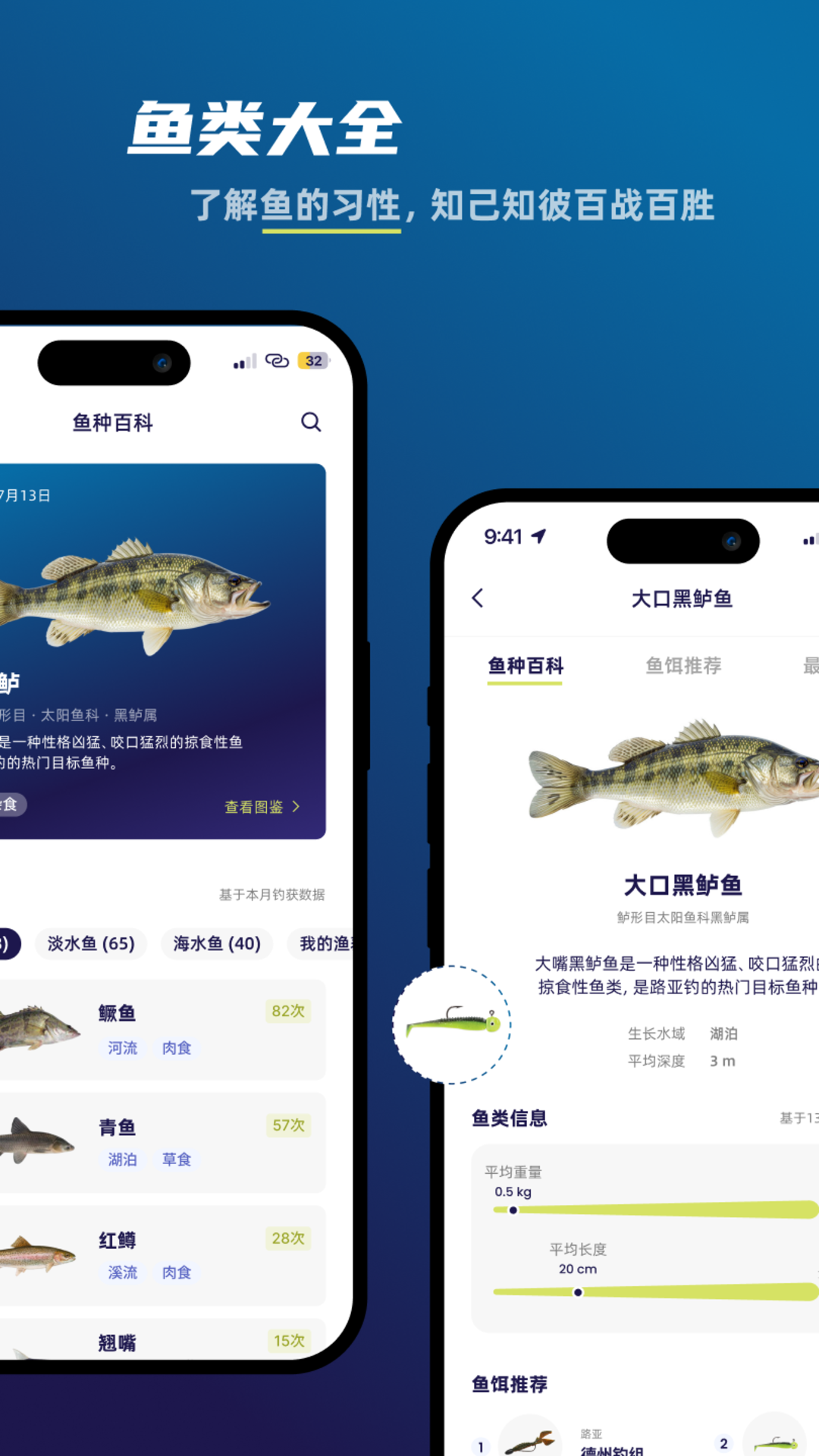 ����2.0.1 �����罻����