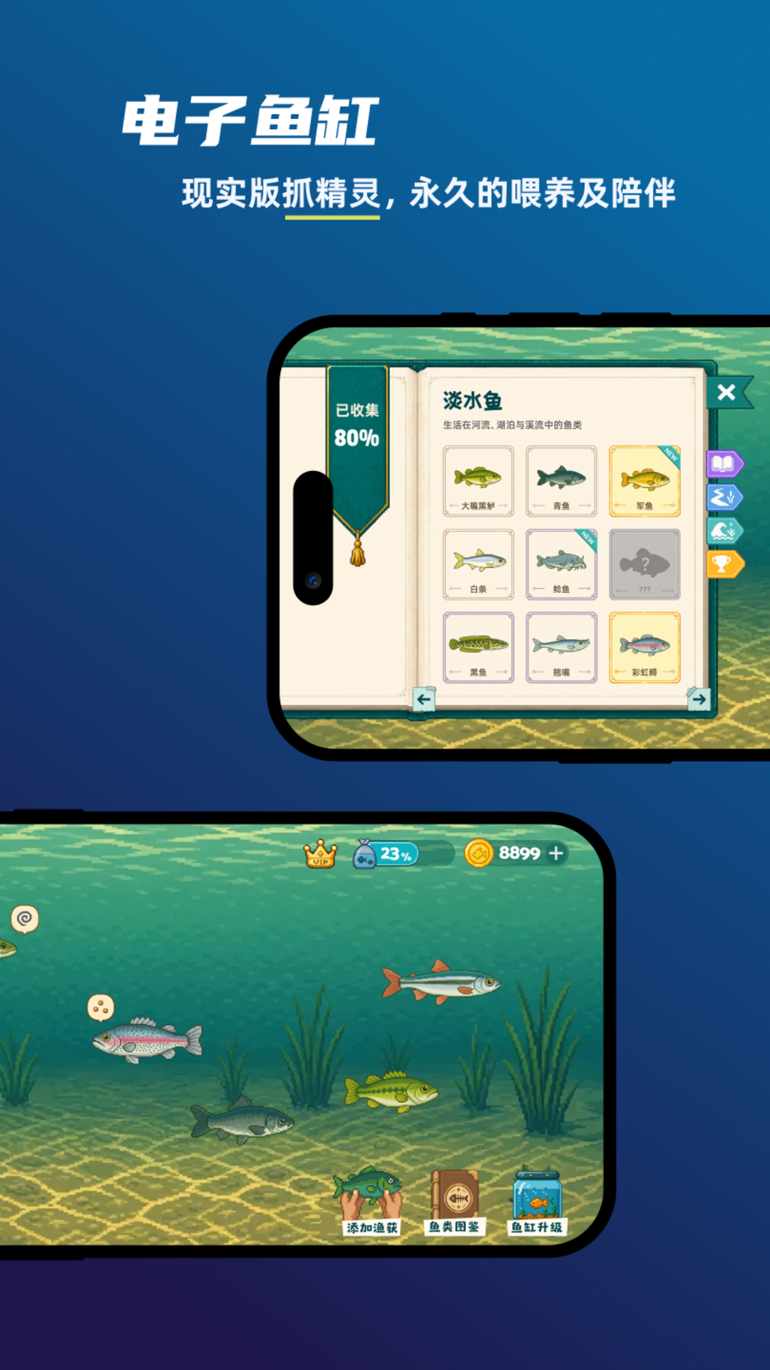 ����2.0.1 �����罻����