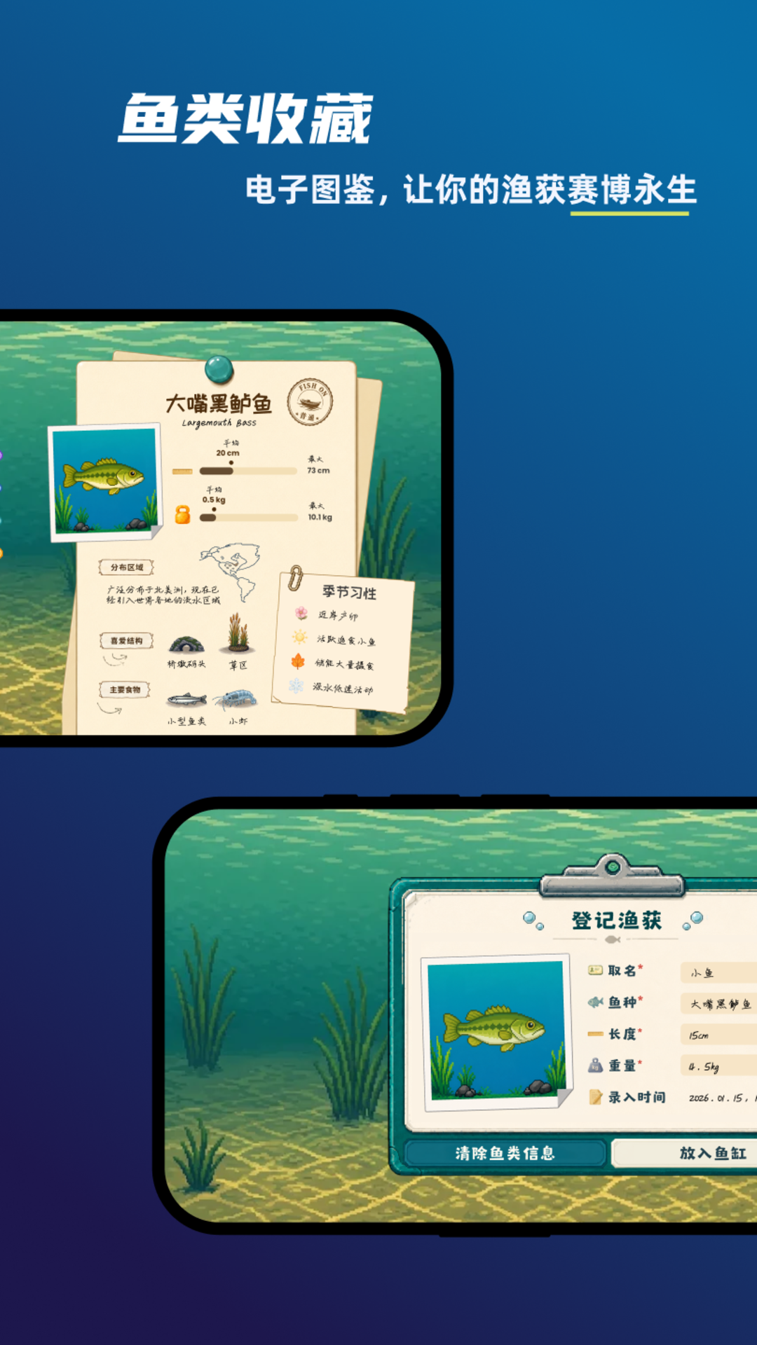 ����2.0.1 �����罻����