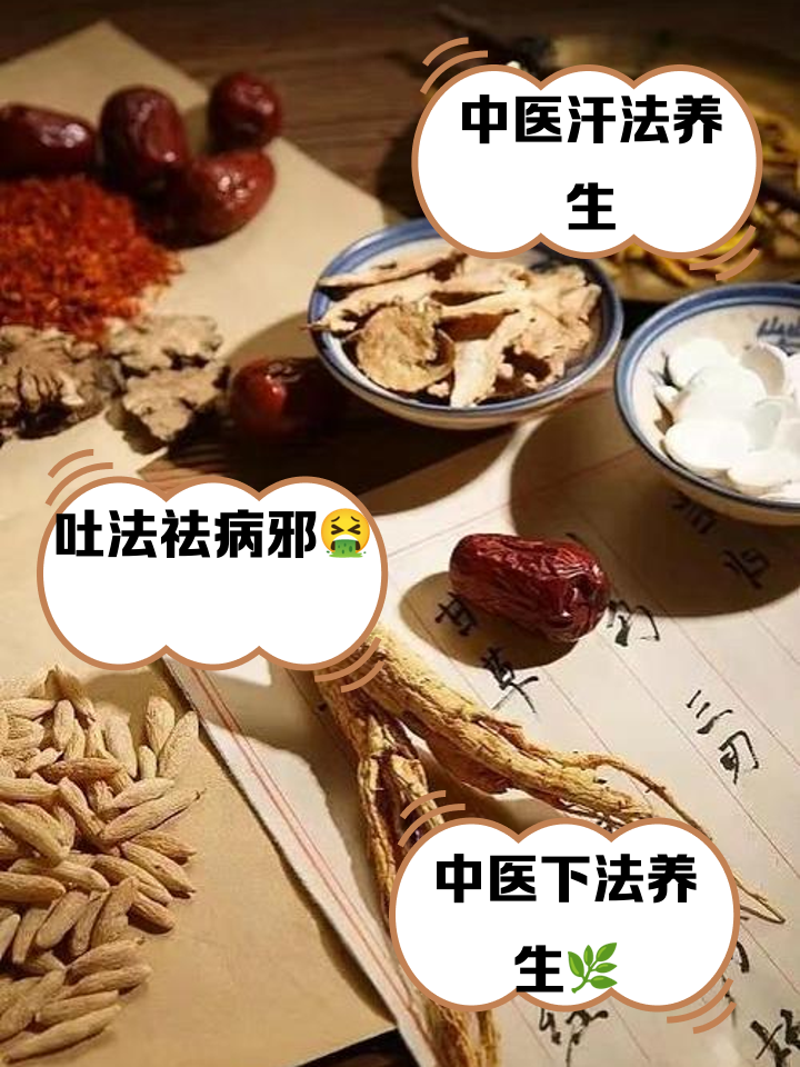��ҽ����ҽ�����ճ���������