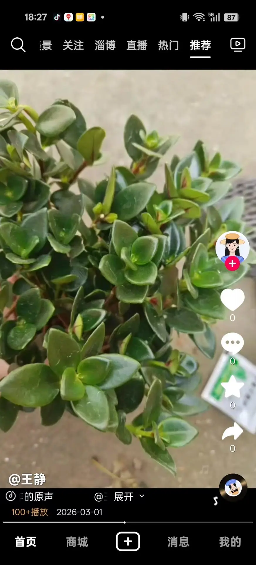 ����ֹ�5.10.4 �����̳�