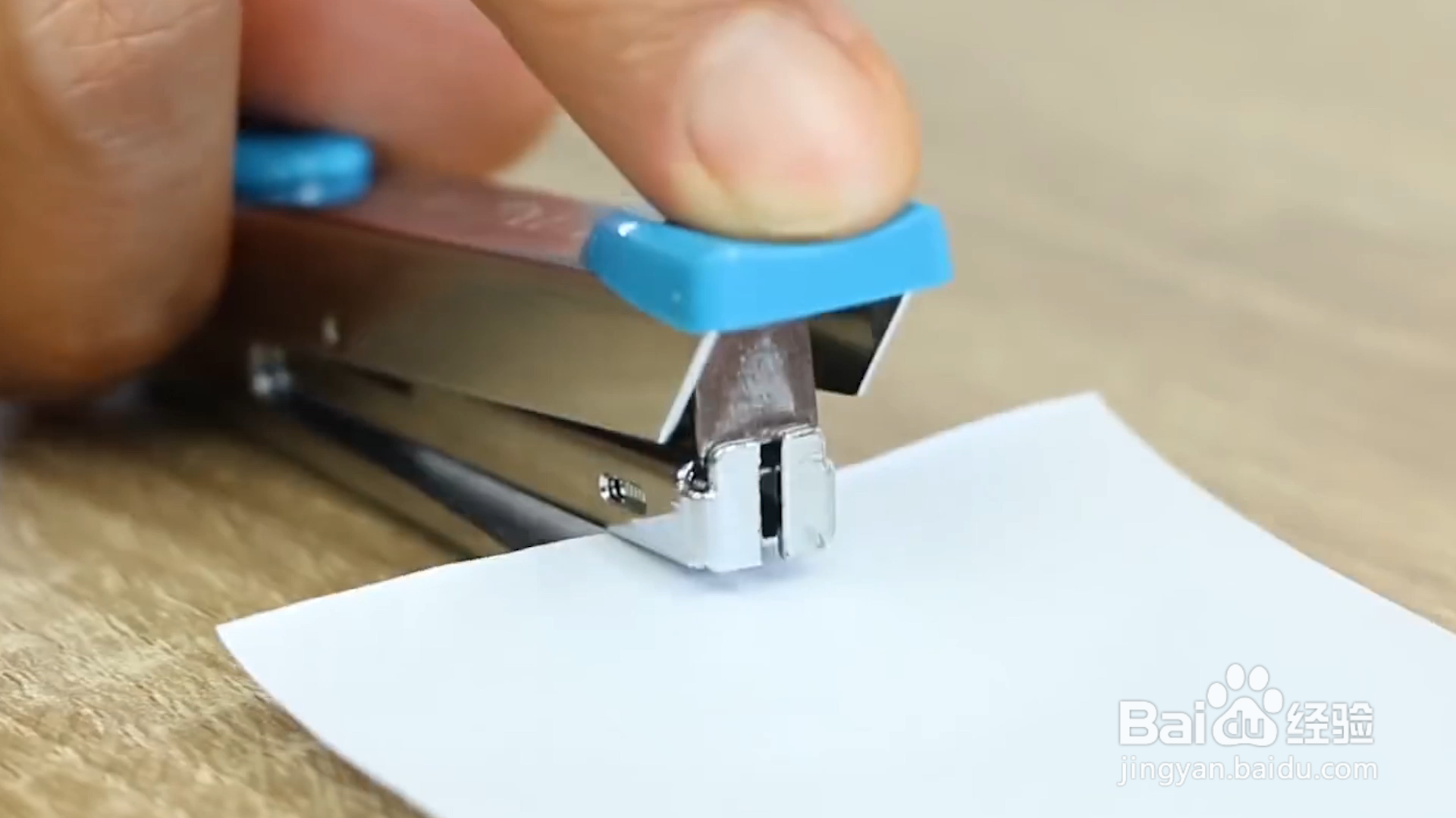 ����������°�(Squirrel Stapler)���ذ�װ�̳�ȫ������ͼ