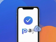 ����Pay���֧��������