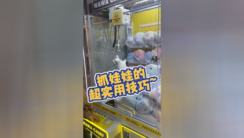 ����ץ����ѡ������צ���ɽ�����