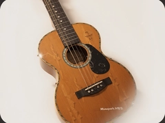 Musspark��������С��������������ѡ