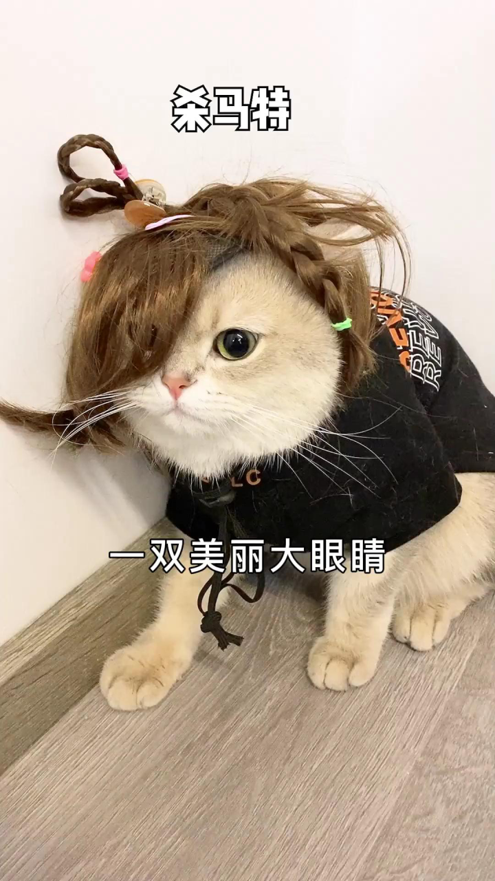 Сè��װ���Ի�����װ�����ο�