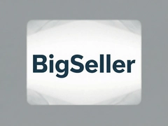 BigSeller�羳����ERP���ֿ���ر�����