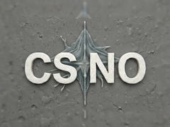 CS:NO�°汾�����������淨����