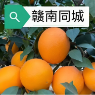 ����ͬ��16.5.0 �����������