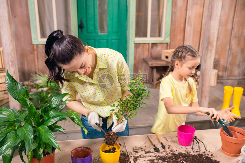 �ɳ���� ����һ�����ֹ���ֲ���ճ�����
