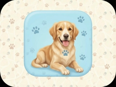 PetDiem�����ռǼ�¼ë����ÿһ��ɳ�